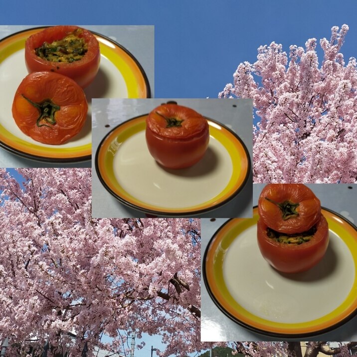 丸ごと⑤味の旬♪♪春トマトのオーブン焼きΨ